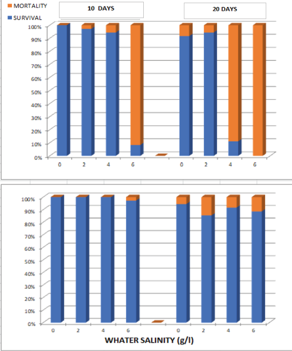 Gráficos de barras que muestran la mortalidad y supervivencia en función de la salinidad del agua y el tiempo de exposición en días.

Descripción generada con IA