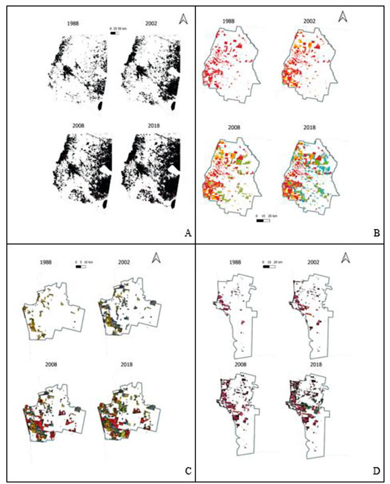 Mapas de avance de los desmontes a nivel provincial (A), departamento
Pellegrini (B), Guasayán (C) y Choya (D), según años censales
1988-2002-2008-2018.