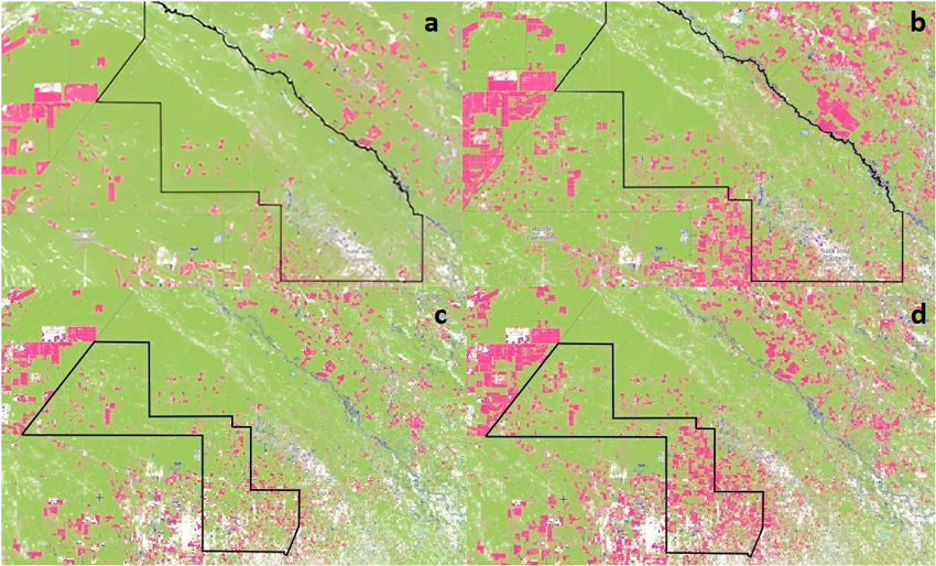 Imagen satelital Landsat-8. Pérdida de cobertura arbórea (color rosado) (Global Forest Watch) en los Departamentos General Güemes año 2011(a), 2018 (b) y Almirante Brown en los años 2011(c) y 2018(d).