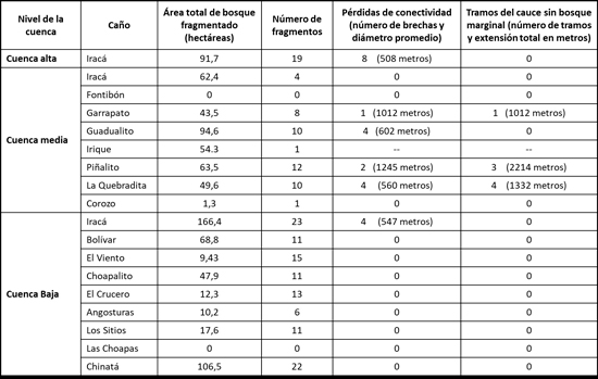 Niveles de fragmentación y pérdidas de conectividad en los corredores ecológicos de la cuenca del caño Iracá.