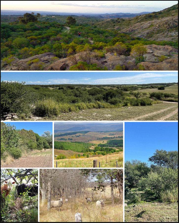 Mosaico de paisajes en las sierras de Córdoba