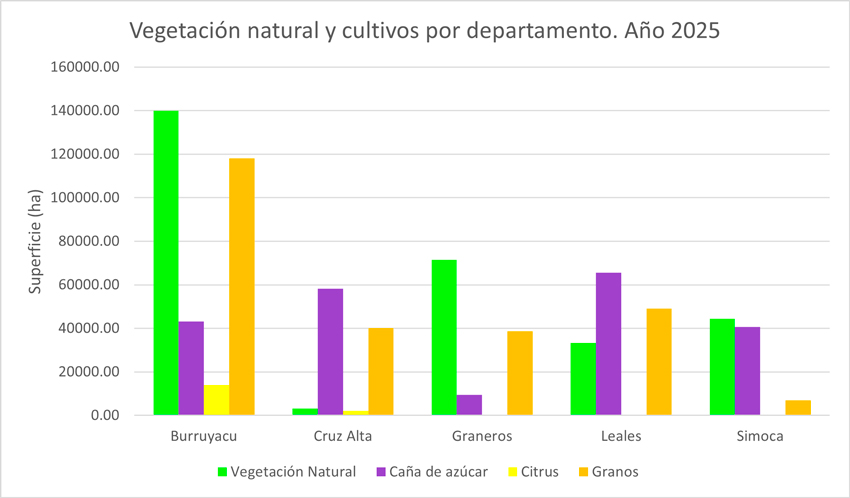 Superficie cubierta por vegetaci&oacute;n natural y por cultivos en los departamentos del este tucumano.